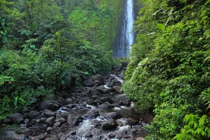 Guadeloupe : les endroits naturels à voir absolument : Femme Actuelle Le MAG